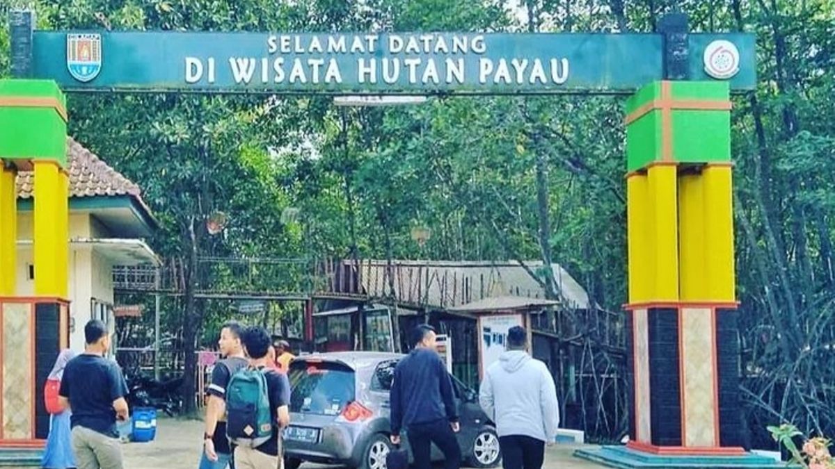"Hutan Payau: Tempat Ibadah yang Menyatu dengan Alam Cilacap"